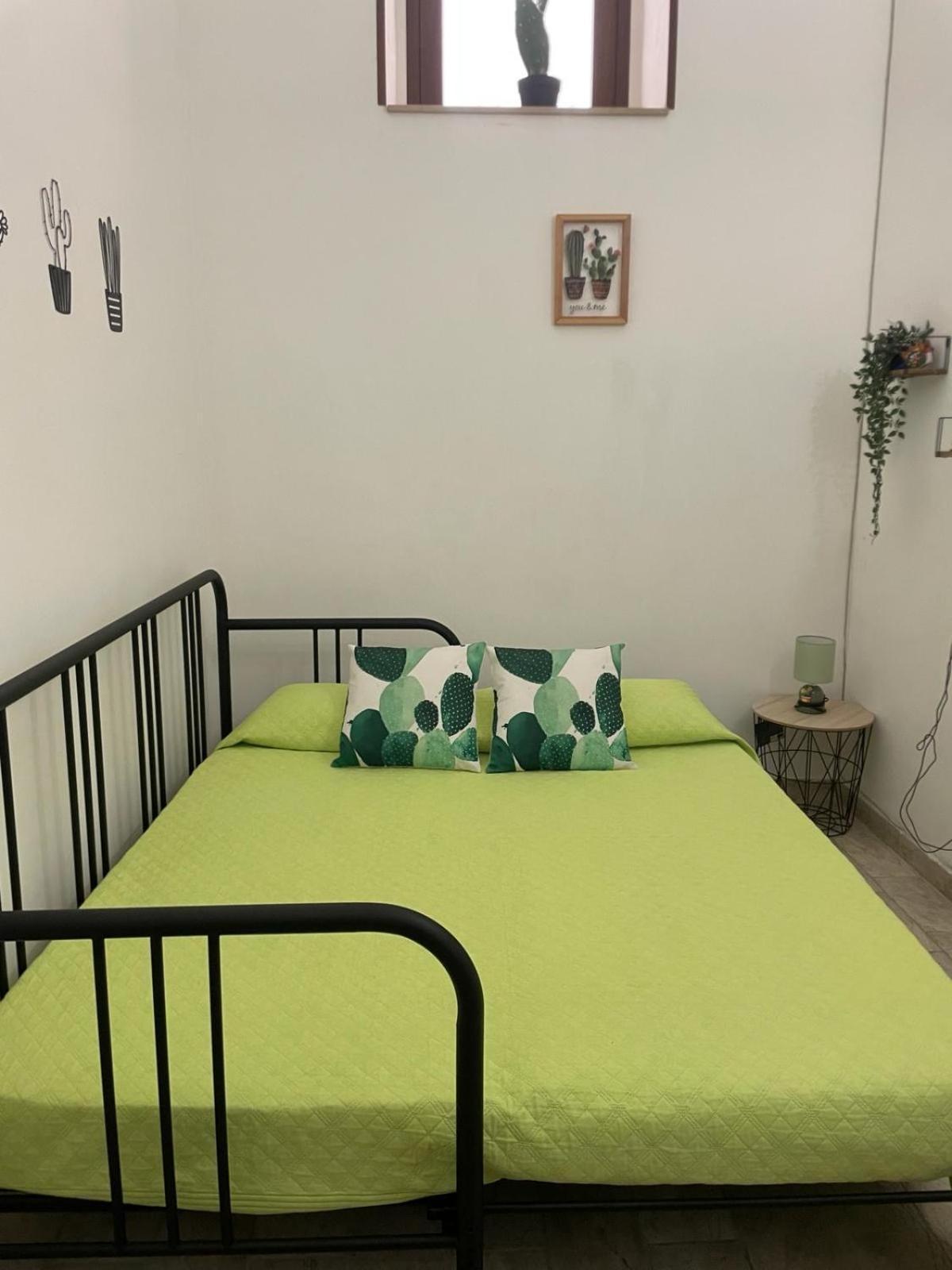 Ficu Pala Holiday Home ノート エクステリア 写真